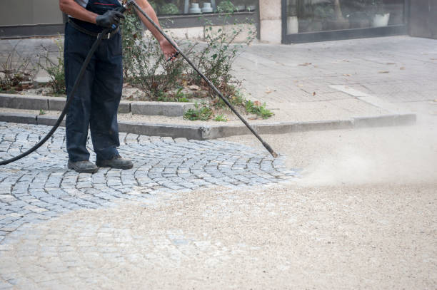 Best Sidewalk and Walkway Cleaning  in Pleasant Prairie, WI